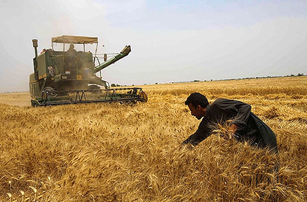 India and Iran make progress on wheat deal