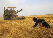India and Iran make progress on wheat deal