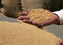 Indian team to visit Iran on October 6 to clinch wheat export deal