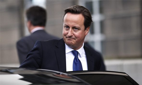 Cameron urges Israel to give Iran sanctions time