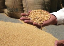 Iran imports wheat supplies from seven nations, Fars says