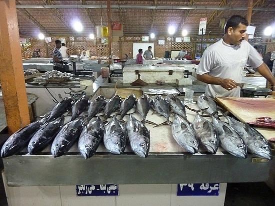 Iran earns more than $112 million in fishery exports