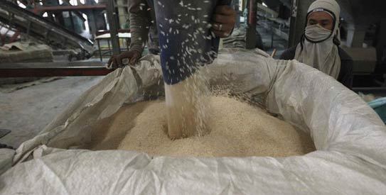 Irans multiple exchange rate to hit rice exports 
