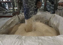 Irans multiple exchange rate to hit rice exports 