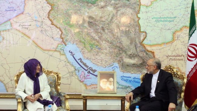 Iraq unity will thwart enemy plots: Iran FM