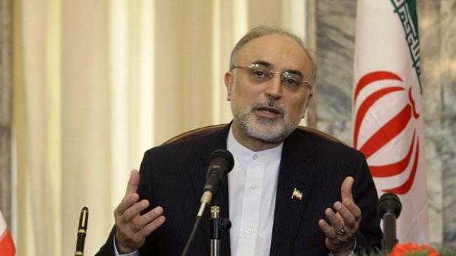 Iran opposed to any foreign intervention in Syria: Salehi