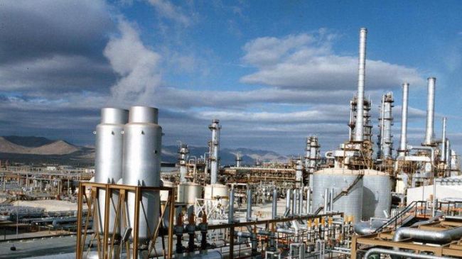 Iran accounts for a quarter of ME petrochemicals: Top exec