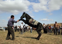 Photos: The 20th Festival of Iranian nomads   <img src="https://cdn.theiranproject.com/images/picture_icon.png" width="16" height="16" border="0" align="top">