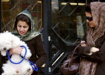 Iran goes after dogs and their owners