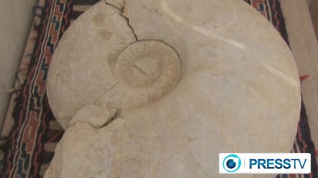 70m-yr-old fossil found in northeast Iran