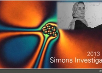 Iranian mathematician wins Simons Investigators Award