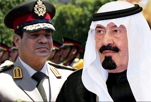 Saudi king pays $1bln to help Egyptian army remove Mursi