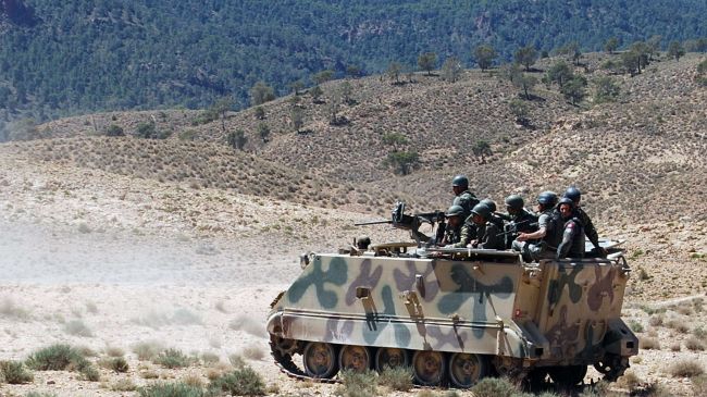 Tunisian army kills several militants near Algerian border