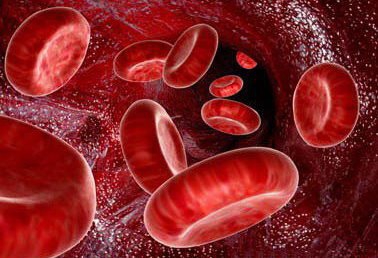 Iran builds SPLC system to separate blood prodcts