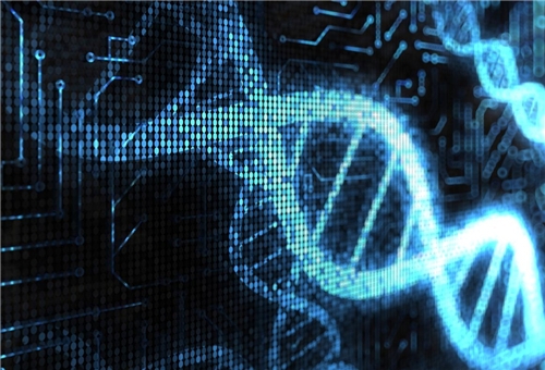 Iranian researchers find novel method to investigate DNA degradation