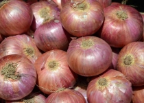 Onion prices jump to Rs 80/kg again