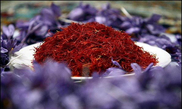 Value of Irans saffron exports exceeds $53mln in five months
