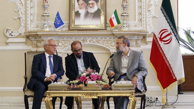 EU lawmaker stresses importance of Iran ties