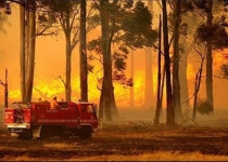 Australian wildfires force thousands to flee
