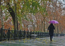 Photos: Autumn rain in Tehran  <img src="https://cdn.theiranproject.com/images/picture_icon.png" width="16" height="16" border="0" align="top">