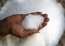 Indian exports to weigh on sugar prices, Iran market eyed