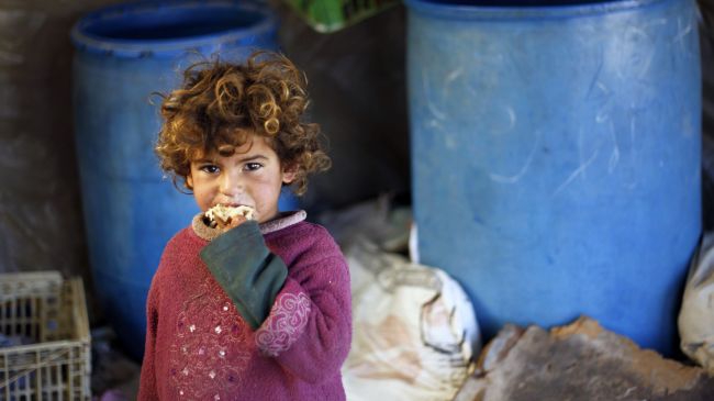 Almost 1 million in need of food aid in Gaza: UN