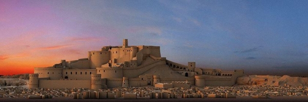 Iran vows to restore glory of quake-hit Bam citadel