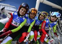 Three more medals for Iran on second day of Int?l Alpine Skiing
