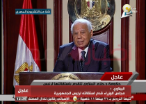 Egyptian PM confirms govt resignation