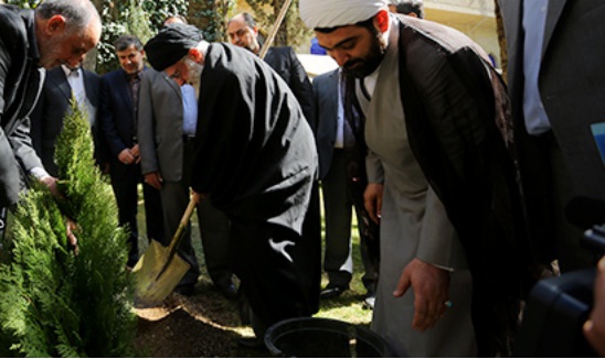 Leader plants a sapling ahead of National Tree Day
