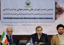 The youth, leaders of Islamic awakening movement should not indulge in internal dispute: Hakim