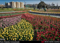 Photos: Spring tulips colorfully dance  <img src="https://cdn.theiranproject.com/images/picture_icon.png" width="16" height="16" border="0" align="top">