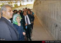 UNESCO would cooperate in repair, maintenance of Persepolis