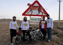 Courting endangered Cheetahs capture Iranian hearts