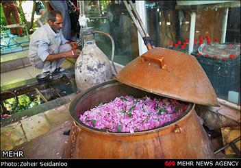 Golabgiri in Iran; season fragrant with scent of flowers