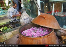 Golabgiri in Iran; season fragrant with scent of flowers