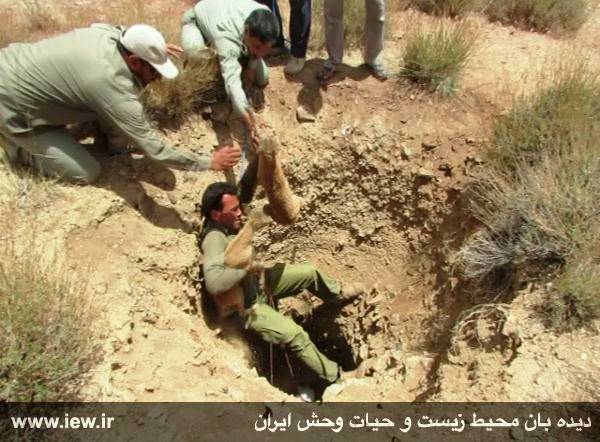 The lives of game guards: A struggle to protect Irans biodiversity