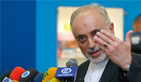 AEOI chief: Geneva deal basis for Iran