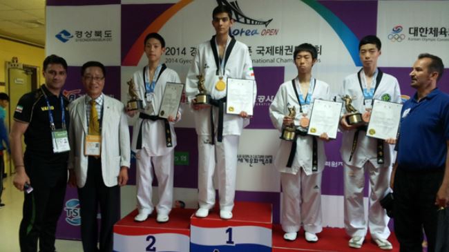 Iran wins 4 medals at intl. taekwondo championships