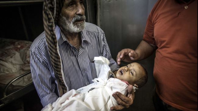 Israeli attacks kill 805 Palestinians in Gaza