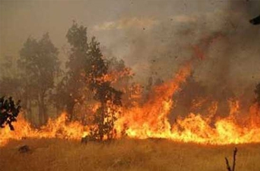 Blaze consumes wildlife habitat in Miyankaleh