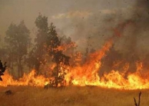 Wildfire controlled at Iran-Azerbaijan border