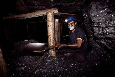 Coal concentrate output up