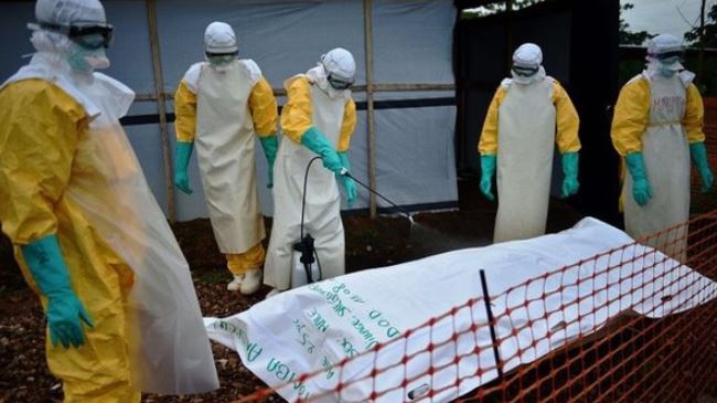 Ebola epidemic to take six months to control: MSF