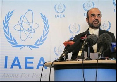 Iran cooperates with IAEA only on "rational" issues 