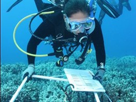 Iran to build undersea transparent lab in Persian Gulf