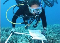 Iran to build undersea transparent lab in Persian Gulf