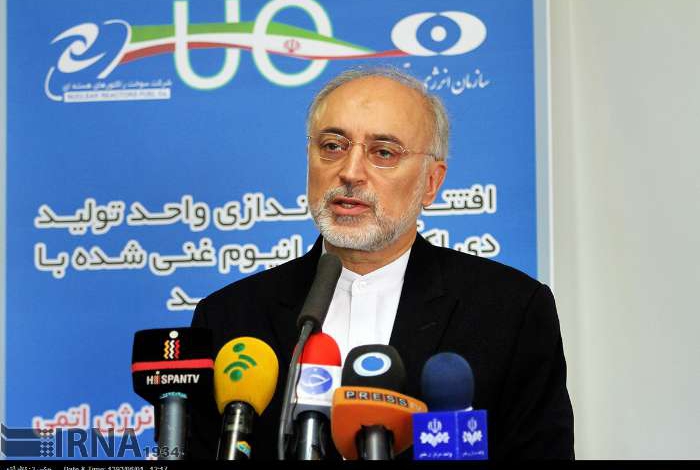 AEOI chief: Uranium Dioxide production unit built only by Iranian experts