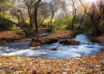 Photos: Beautiful autumn in Hamedan, Iran  <img src="https://cdn.theiranproject.com/images/picture_icon.png" width="16" height="16" border="0" align="top">