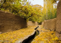 Photos: Autumn arrives in northern Iran, Gilan  <img src="https://cdn.theiranproject.com/images/picture_icon.png" width="16" height="16" border="0" align="top">